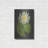 " Lily " by Lettered & Lined