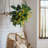 Faux Plant-1662230796-1662230835