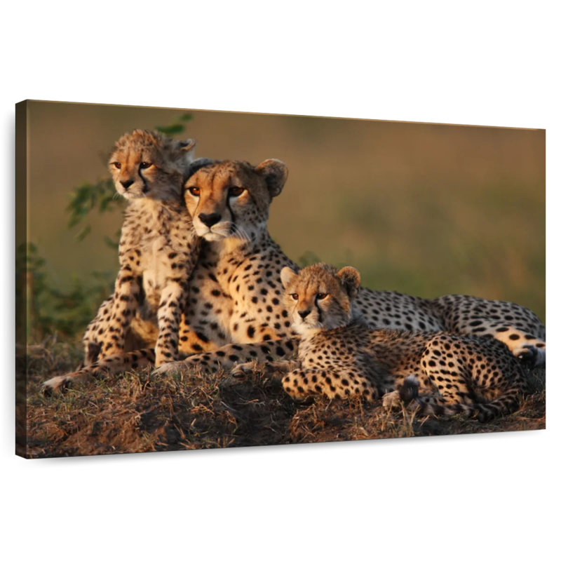 Safari guépard famille, H 20 po x l 30 po