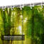 Rideau de douche Foggy Forest-989270560