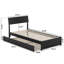 Norla Twin XL Wood Platform Bed with Footboard and Twin XL Trundle, White-113674725-113674728