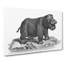 Hippopotamus In Black And White by George Shaw - Wrapped Canvas Print-55360034
