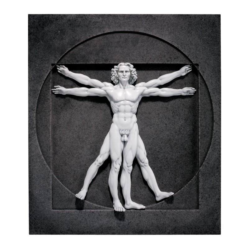 Vitruvian Man Wall Sculpture