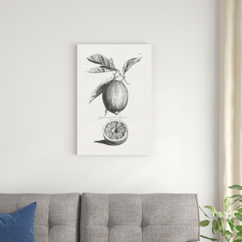 Citrons et oranges antiques I, H 18 po x l 12 po