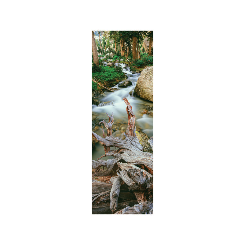 Meltwater, Glacier Gulch, Grand Teton National Park, Wyoming, USA - No Frame Panoramic Print on Canvas
