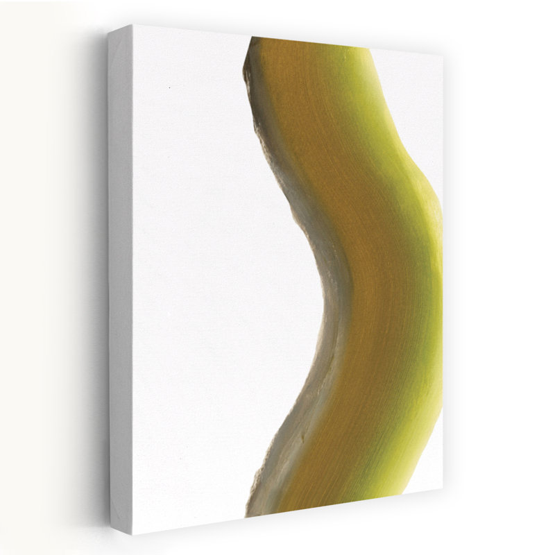 Verdoyant arc abstrait, paysage biologique moderne, art mural, H 18 po x l 12 po
