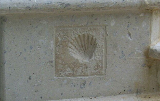 6" x 6" SeaStone Cement Scallop Fossil Impression Medallion Tile in Buff