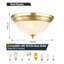 Luminaire de plafond doré à 2 lumières encastrées pour plafonnier moderne à 2 lumières pour la salle de bain, le vestibule, le couloir, le salon, la cuisine