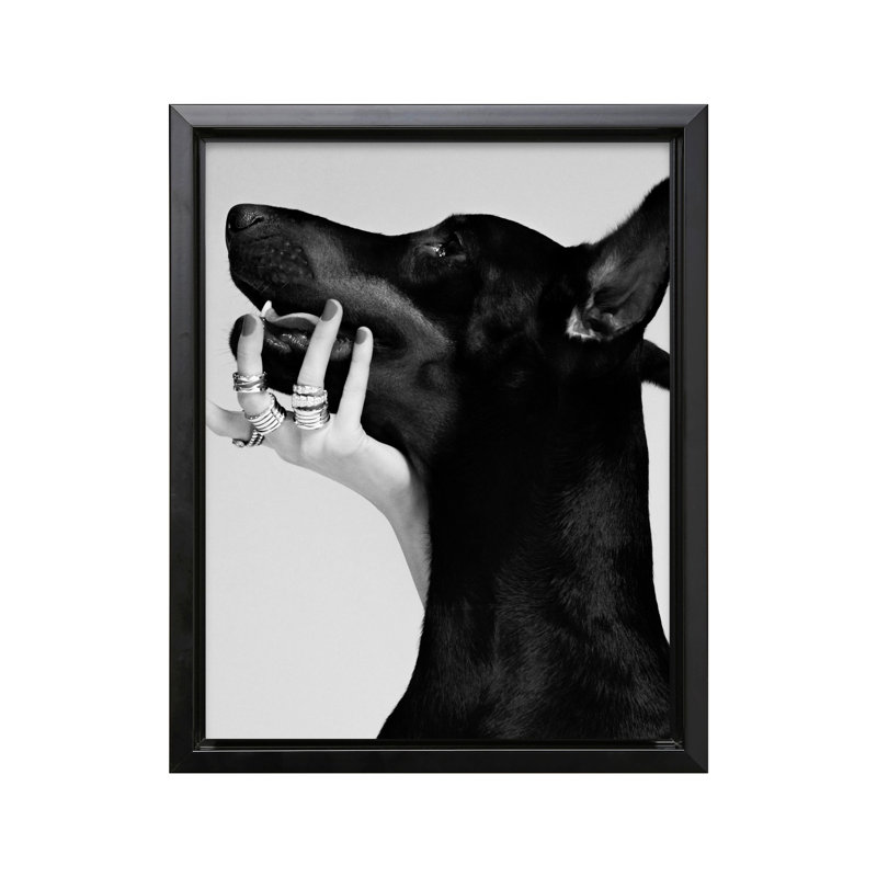 Dobermann noir, Black Framed, Canvas, 16"H x 20"W