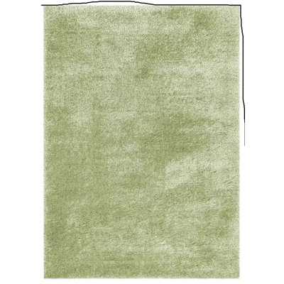 Shaggy Area Rug