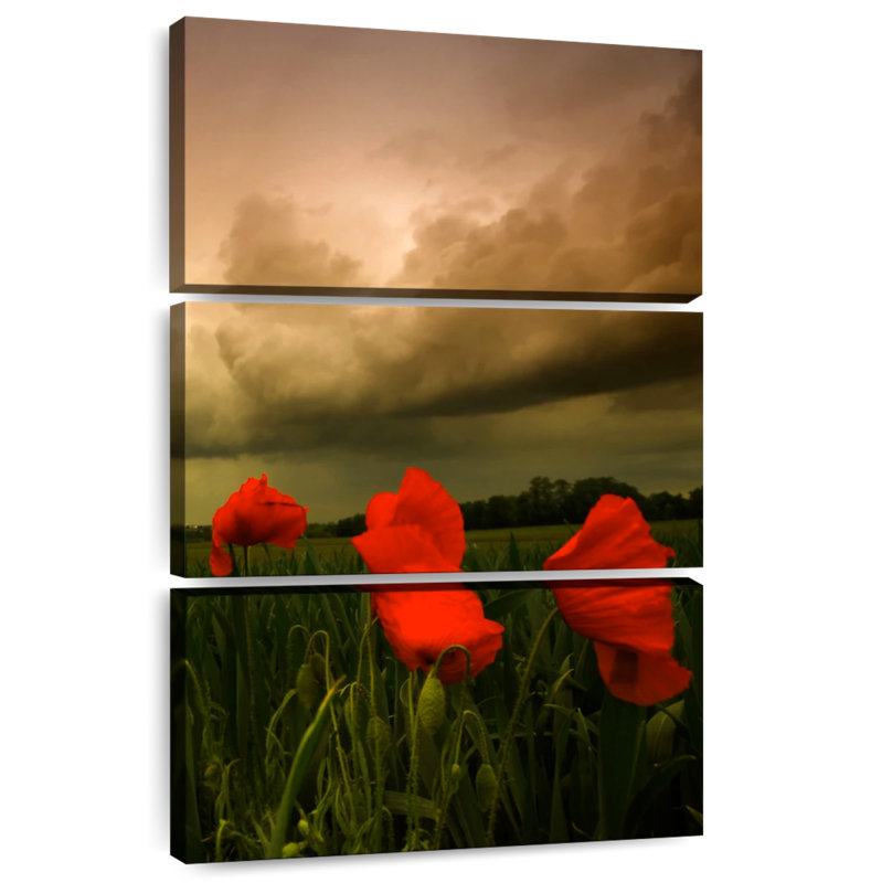 Harnek Stormy Cloud Poppies