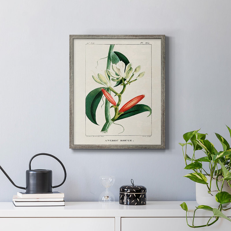 Toile encadrée Turpin Tropical Botanicals, H 24 po x l 20 po, Argent patiné