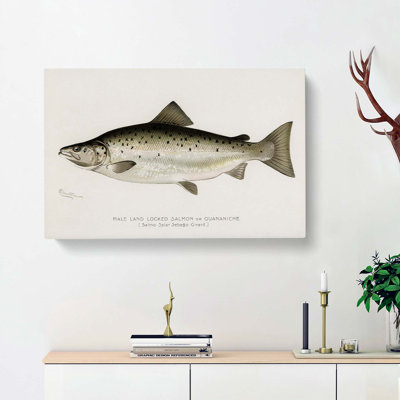 Male Land Locked Salmon by Sherman F. Denton - Wrapped Canvas Painting Print