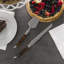 French Home Connoisseur Laguiole 2-Piece Cake And Pie Server Set With Tortoise Shell Handles