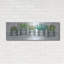 «Galvanized Pot Succulents II» par Cindy Jacobs, art mural en métal, 36 po x 12 po-1383996619