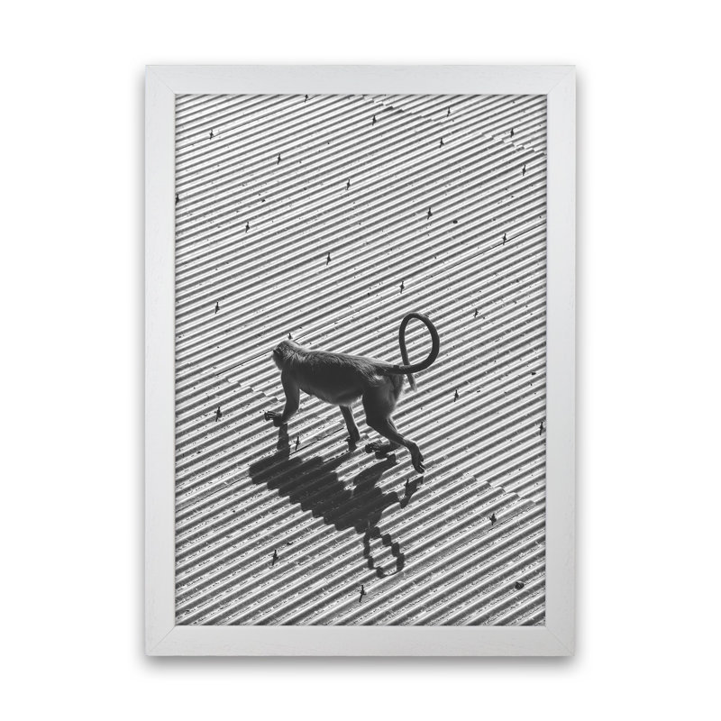 Monkey Buisness by Victoria Frost - Print, 46cm H x 34cm W x 3cm D, White Framed