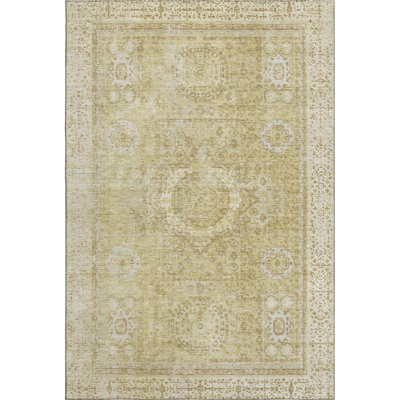 Premium Machine Washable Lubbers AMF1740 Border Rug