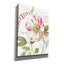 «Rainbow Seeds Botanical II» par Lisa Audit, art mural sur toile-2069619318