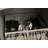 39'' H x 26'' W 1 Laptop/Tablet Storage Cart with Wheels