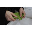 Soap Dish-41313783-41342864