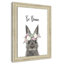 Le lapin est courage-48163492-48169697