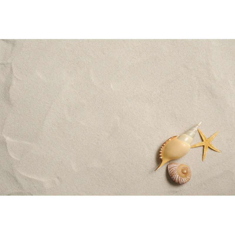 Starfish And Seashells On Sandy Beach With Copy Space by Kyoshino - No Frame Art Prints on Canvas, 51cm H x 76cm W