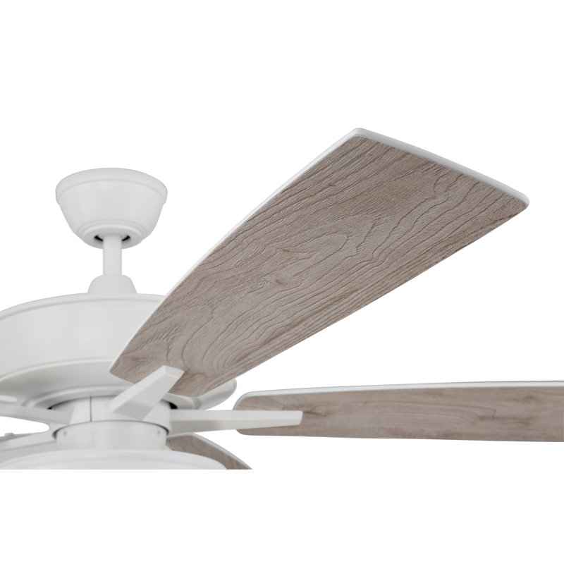 Medberry 60'' Ceiling Fan with LED Lights, White