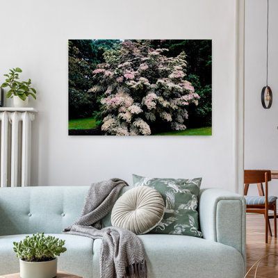 Kousa Dogwood Trees Cornus Kousa In A Garden United States National Arboretum Washington Dc Usa Abstract Contemporary Landscape Nature Art
