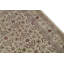 Wool Oriental Area Rug in Beige/Ivory