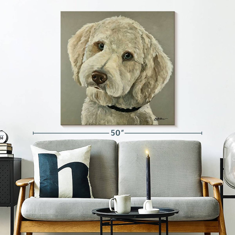 Bramend Goldendoodle sur fond gris, H 33 po x l 33 po