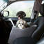 Siège de voiture en polyester Pet Booster-98410745