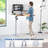 Vivo Electric 48" X 30" Stand Up Desk-1517970314