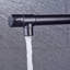 Belfry Kitchen Brigid Pull Down Kitchen Faucet