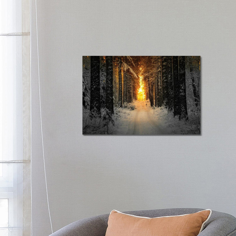 Golden Winter Light by Lauri Lohi - Wrapped Canvas Print, 66.04 cm H x 45.72 cm W x 3.175 cm D