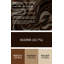 Biomorphic Abstraction 75 Brown Canvas Wall Art-595464519
