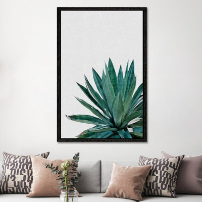 Agave Cactus by Orara Studio - Print on Canvas