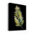 " Frond II "-32016417