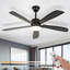 Ceiling Fan