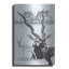 «Black Buck» par Barbara Keith-302720229