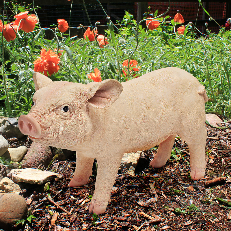 Statue de jardin cochon cochon