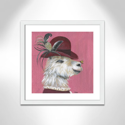 Llama Animals