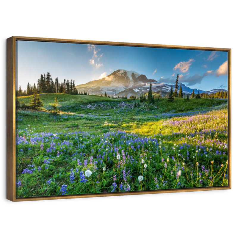 Le printemps au mont Rainier, Cadre flottant doré, 31 po x 21 po