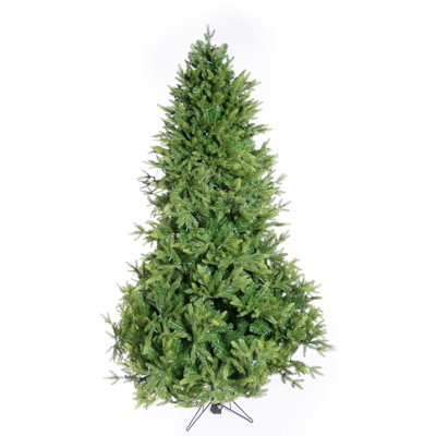 Lighted Christmas Tree