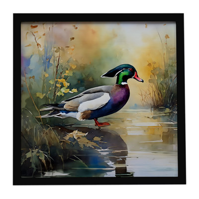 Wood Duck Framed Metal Print
