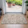 Machine Washable Indoor/Outdoor Colman ACN2130 Striped Rug