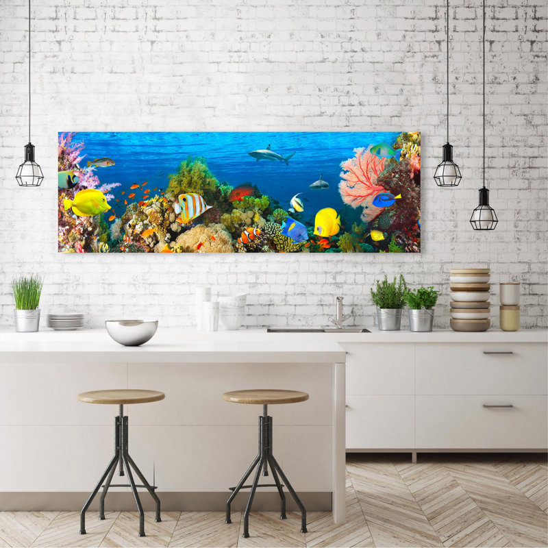 Life In The Coral Reef, Maldives by Pangea Images - Wrapped Canvas Print, 40cm H x 120cm W x 4cm D