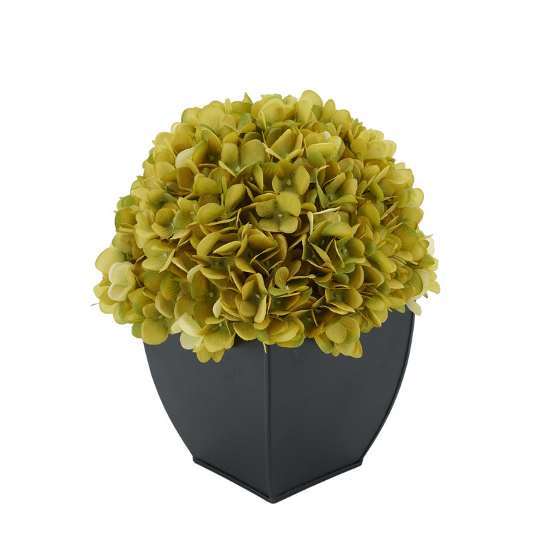 Arrangement floral hortensia en pot, Sauge