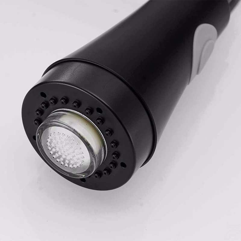 Robinet de cuisine avec douchette rétractable, robinet d'évier de cuisine à poignée simple