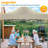10×10 FT waterproof stable winterproof garden gazebo, pop-up gazebo with 4 side walls-98638060