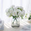 Arrangement-1034470413